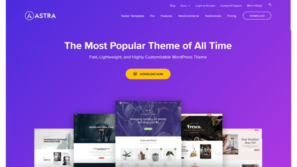 Free WordPress Themes-Astra